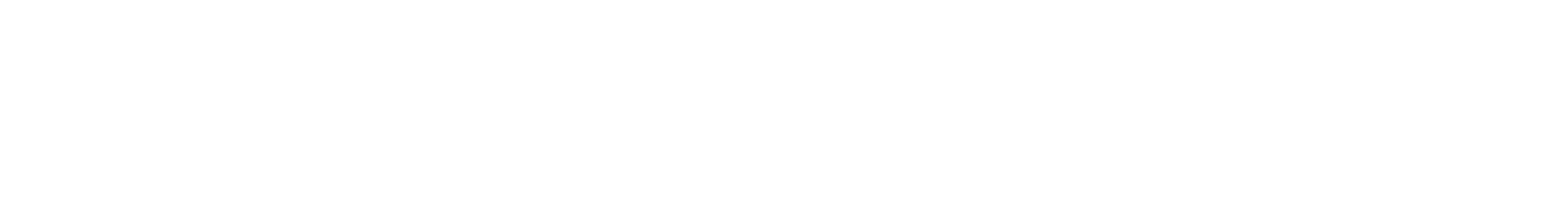 Emira Logo
