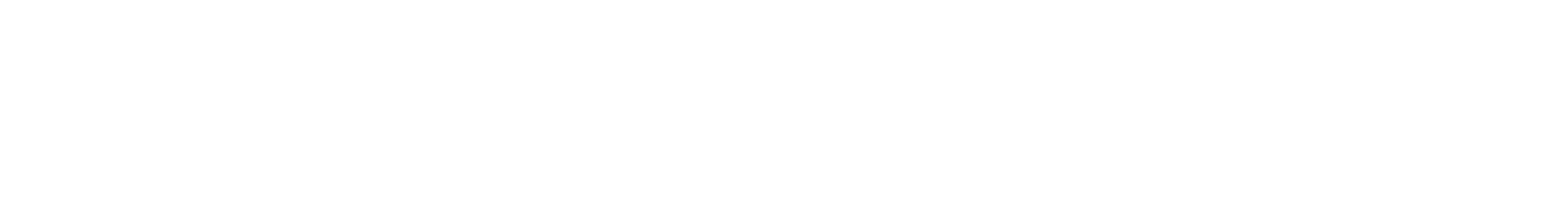 Emira Logo