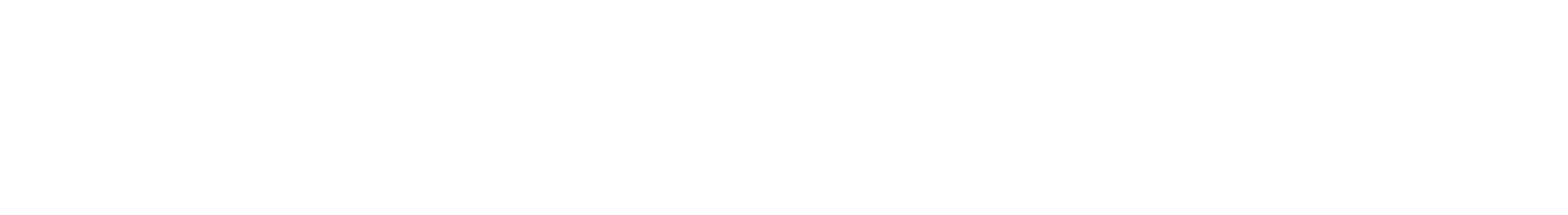 Emira Logo